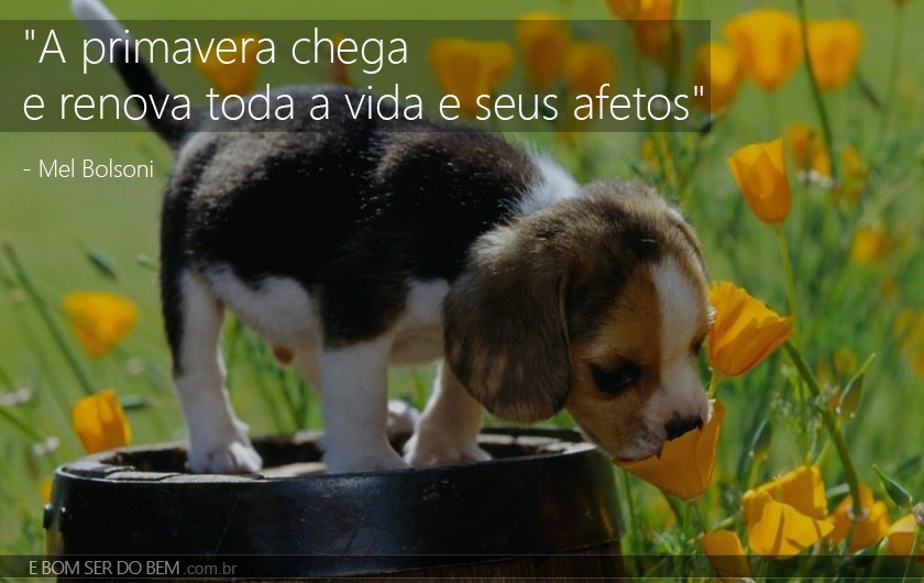 Imagem Especial para facebook