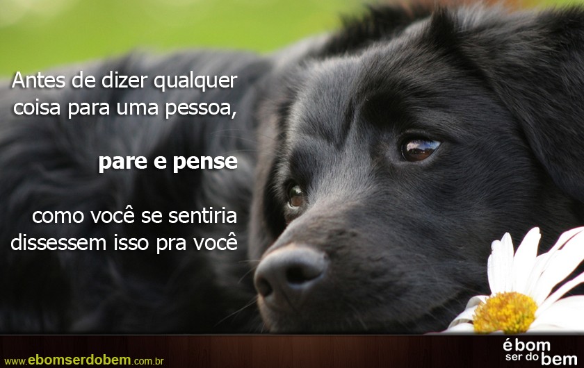 Imagem Especial para facebook